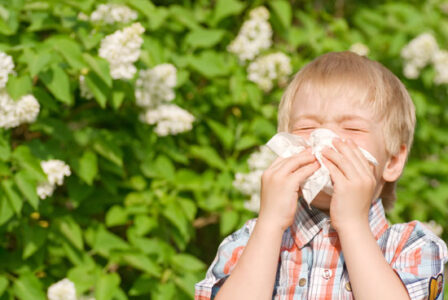 Natural Remedies for Asthma Image